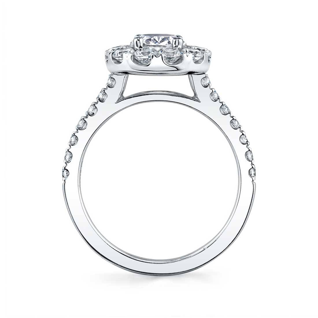 Oval Engagement Ring Profile