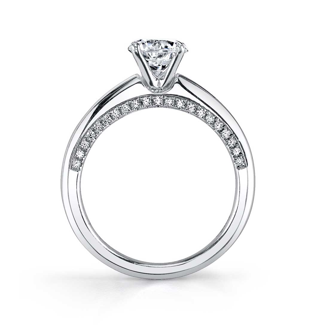 Profile Image of a Solitaire Engagement Ring