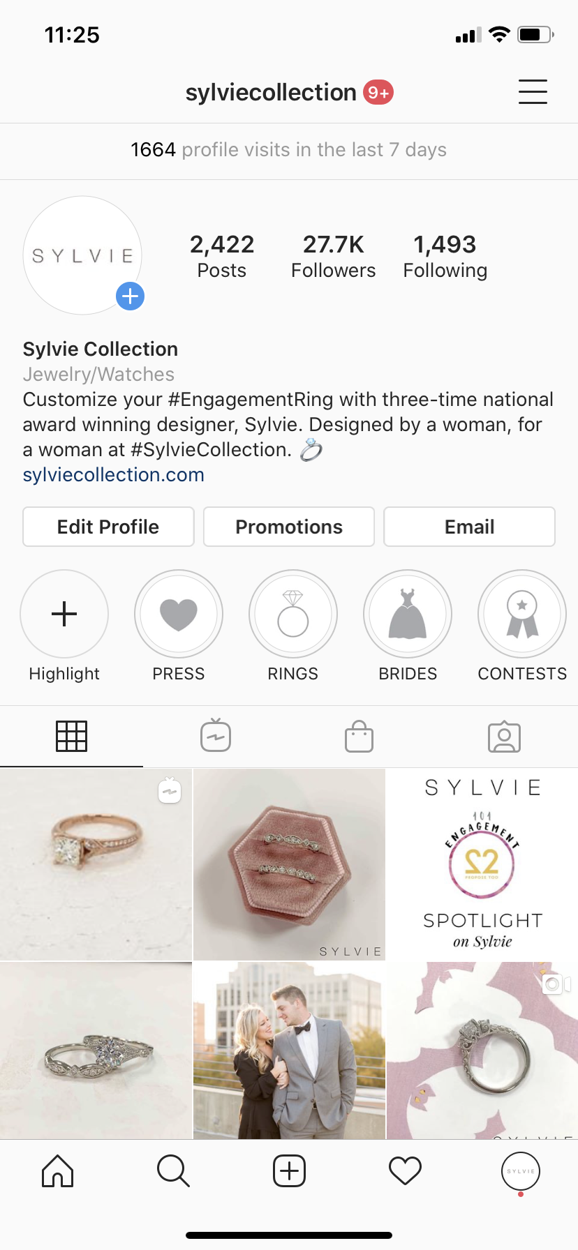 igtv instagram sylvie collection
