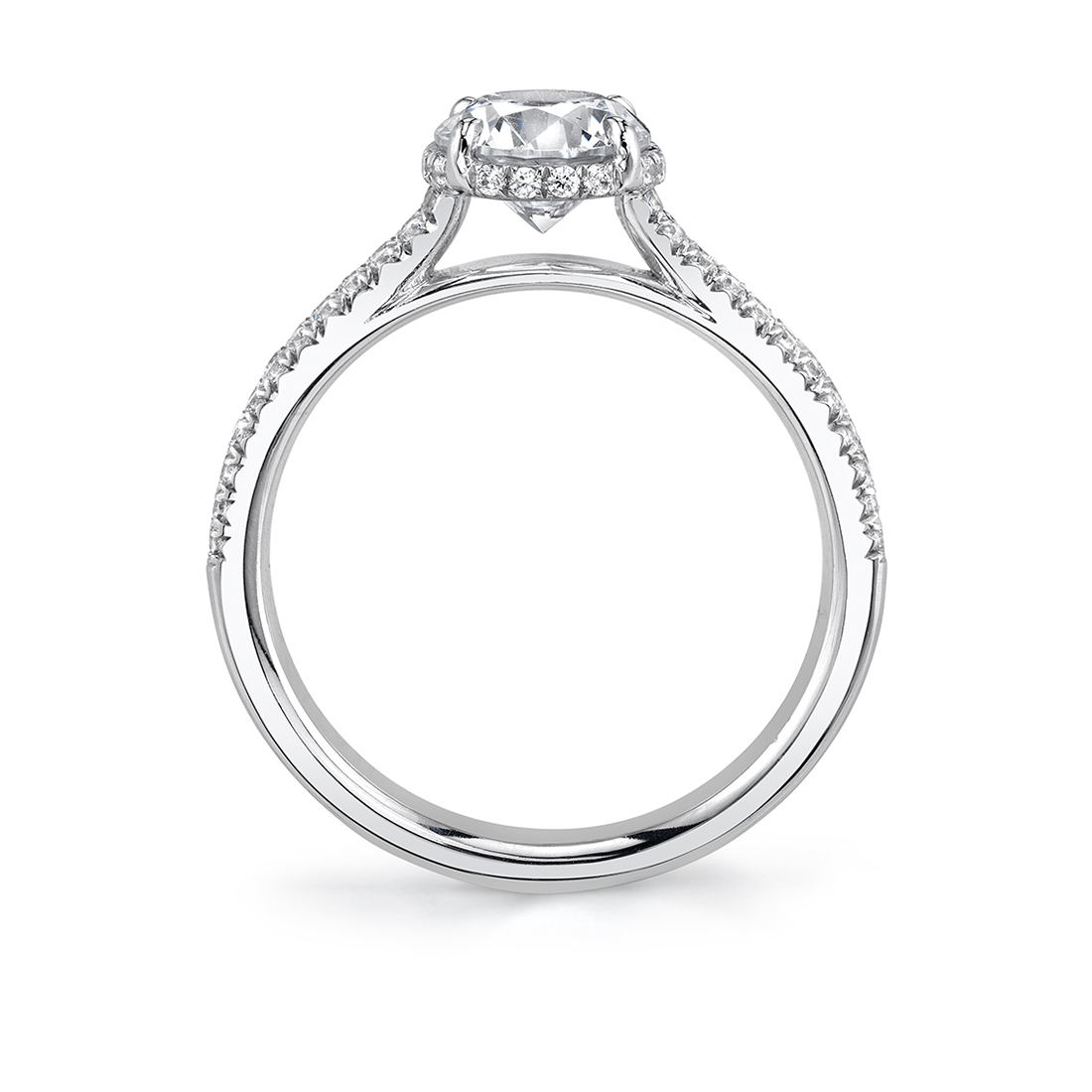 Profile Image of Hidden Halo Engagement Ring  in White Gold