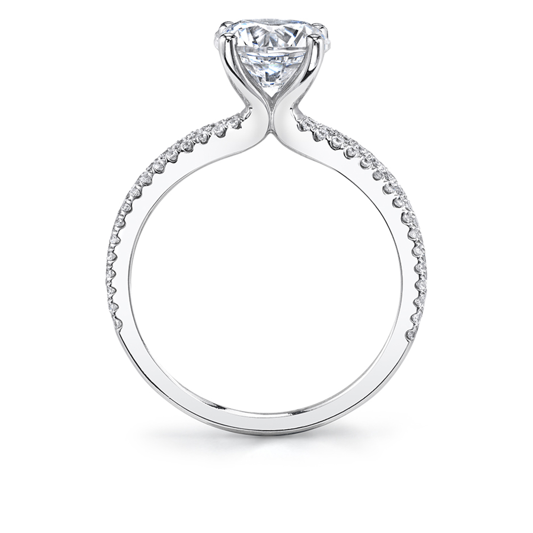 Profile image of Split Band Engagement Ring in white Gold