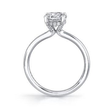 profile view of hidden halo engagement ring with plain band